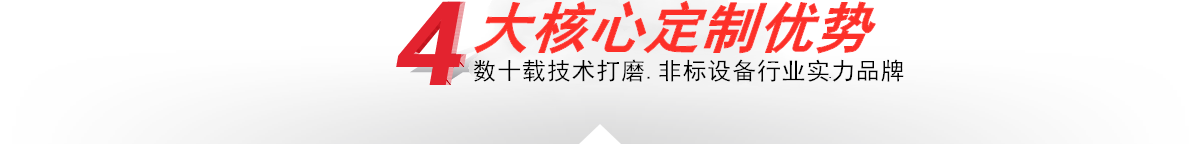 本公司—4大核心定制優勢
